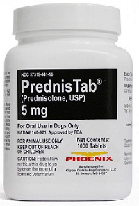 Prednisolone Tablet