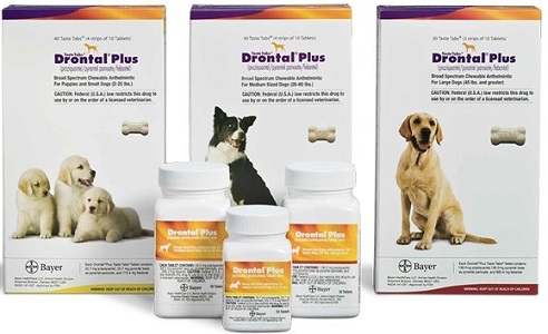 Drontal Plus Taste Tablet Canine Hillcrest Veterinary Hospital