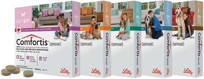 Flea tick best sale comfortis cats dogs