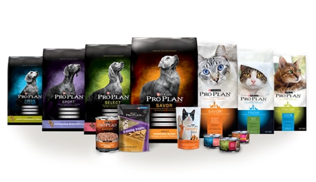 Pet Food